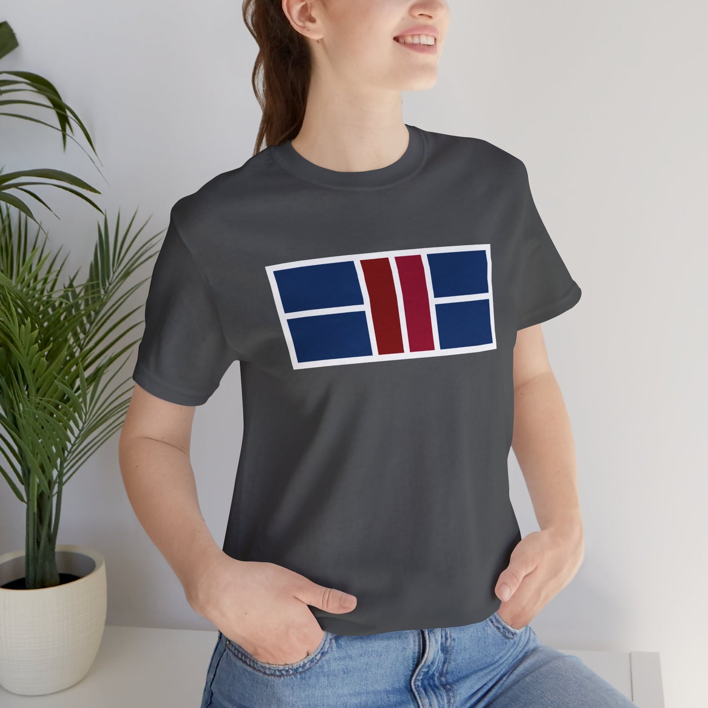 Classy Blue/Red Pickleball Court Unisex Tee